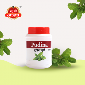 PUDINA POWDER- 50GM.